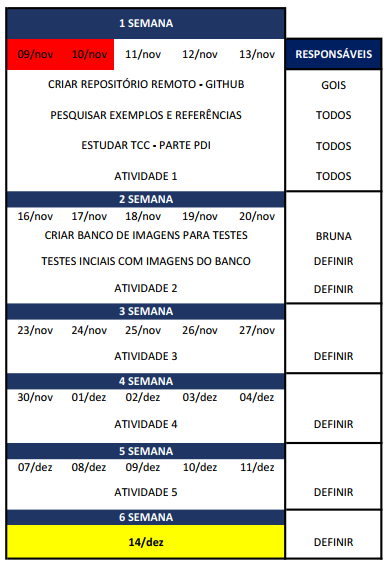 Cronograma Inicial