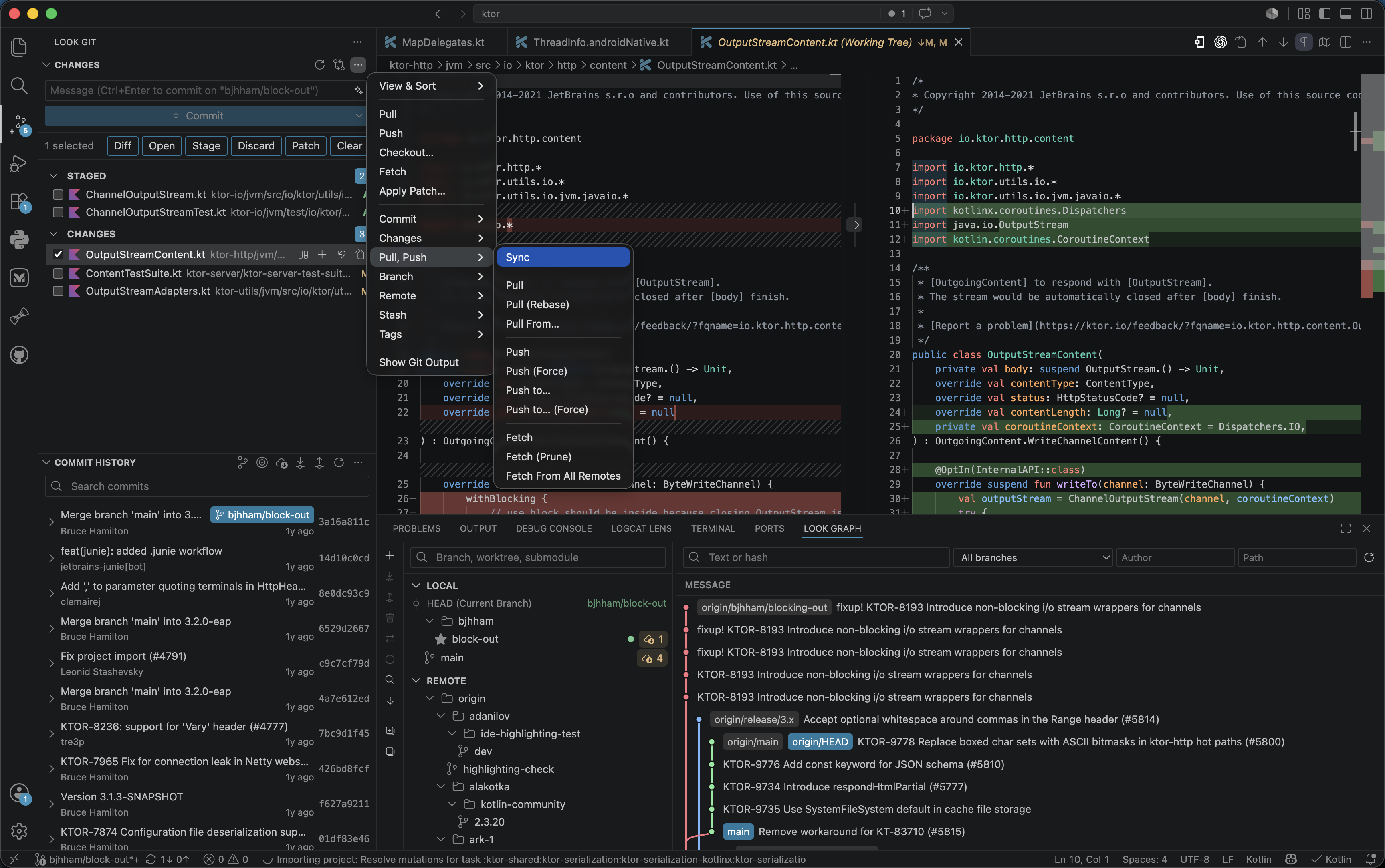 Look Git Changes panel &mdash; selected-file actions and repository pull, push, fetch, branch, remote, stash, and tag commands