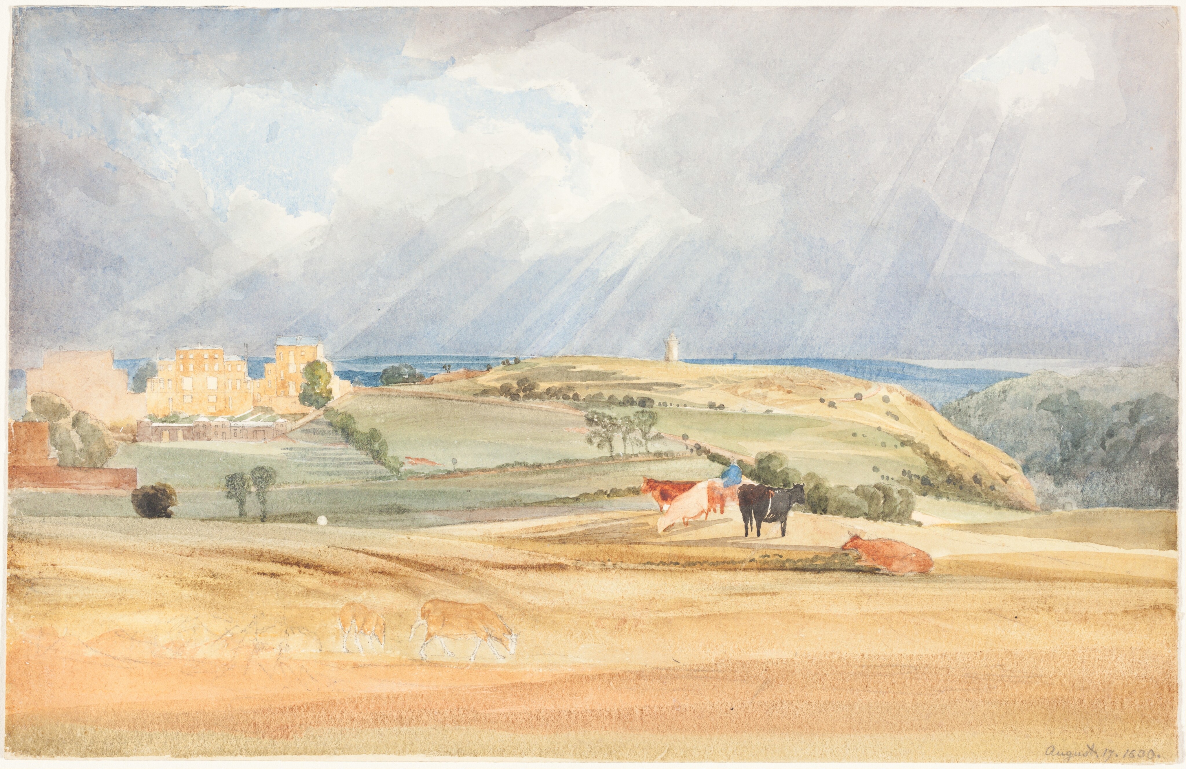 Landscape with Cattle
