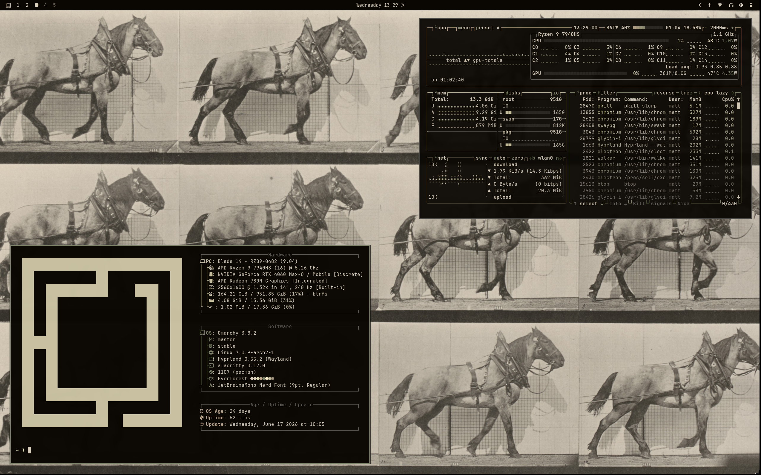 Omarchy Eadweard Muybridge Theme