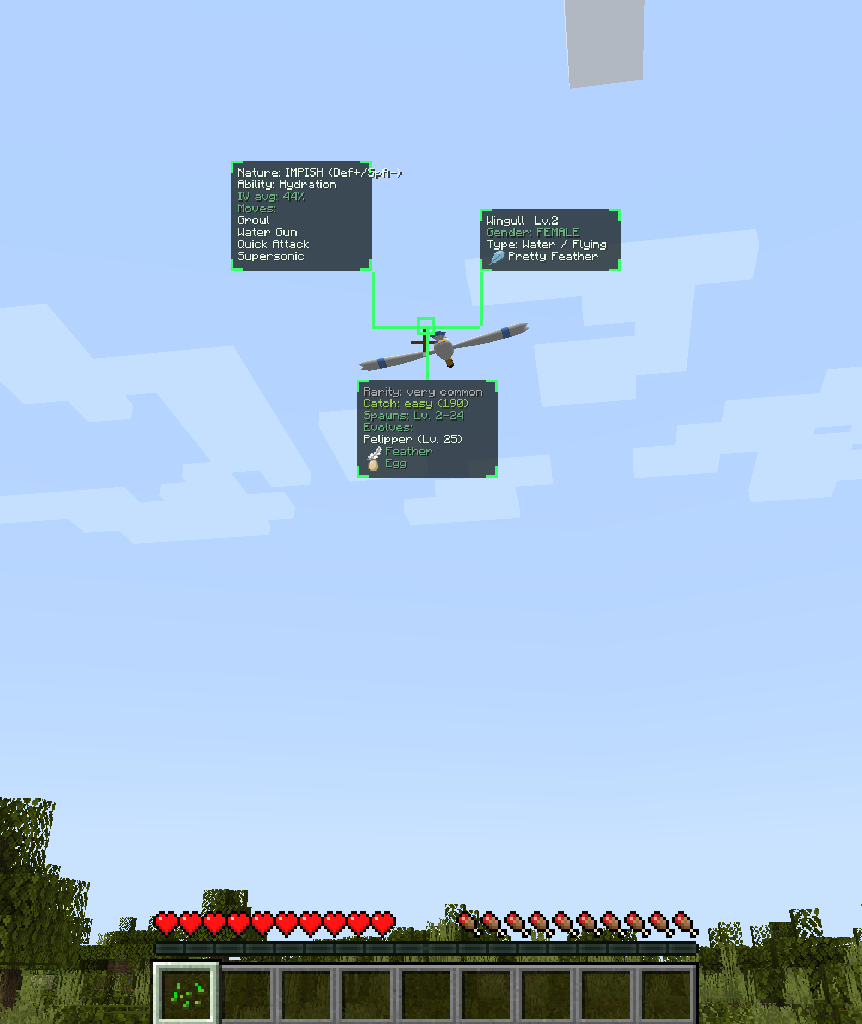 Pokemon scan overlay while flying