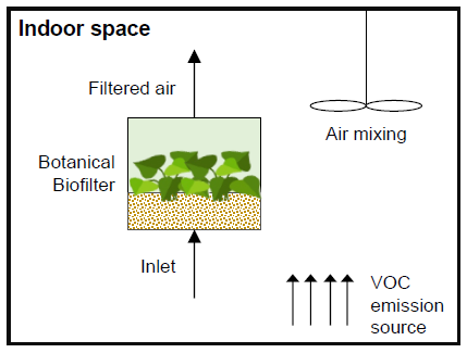 Model diagram