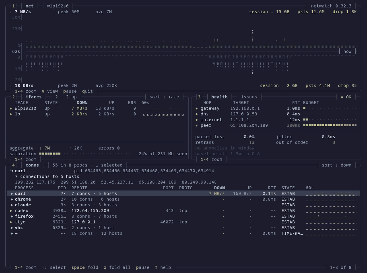 NetWatch's dense view: a mirrored braille throughput graph with download above the axis and upload below, per-interface rates with sparklines, four-hop latency budgets, and a connection table with the selected socket's kernel TCP state
