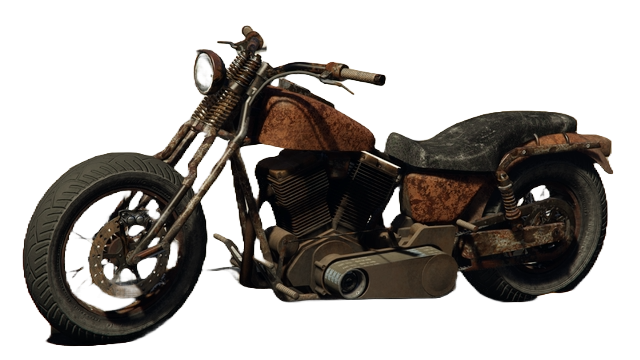 Rat bike