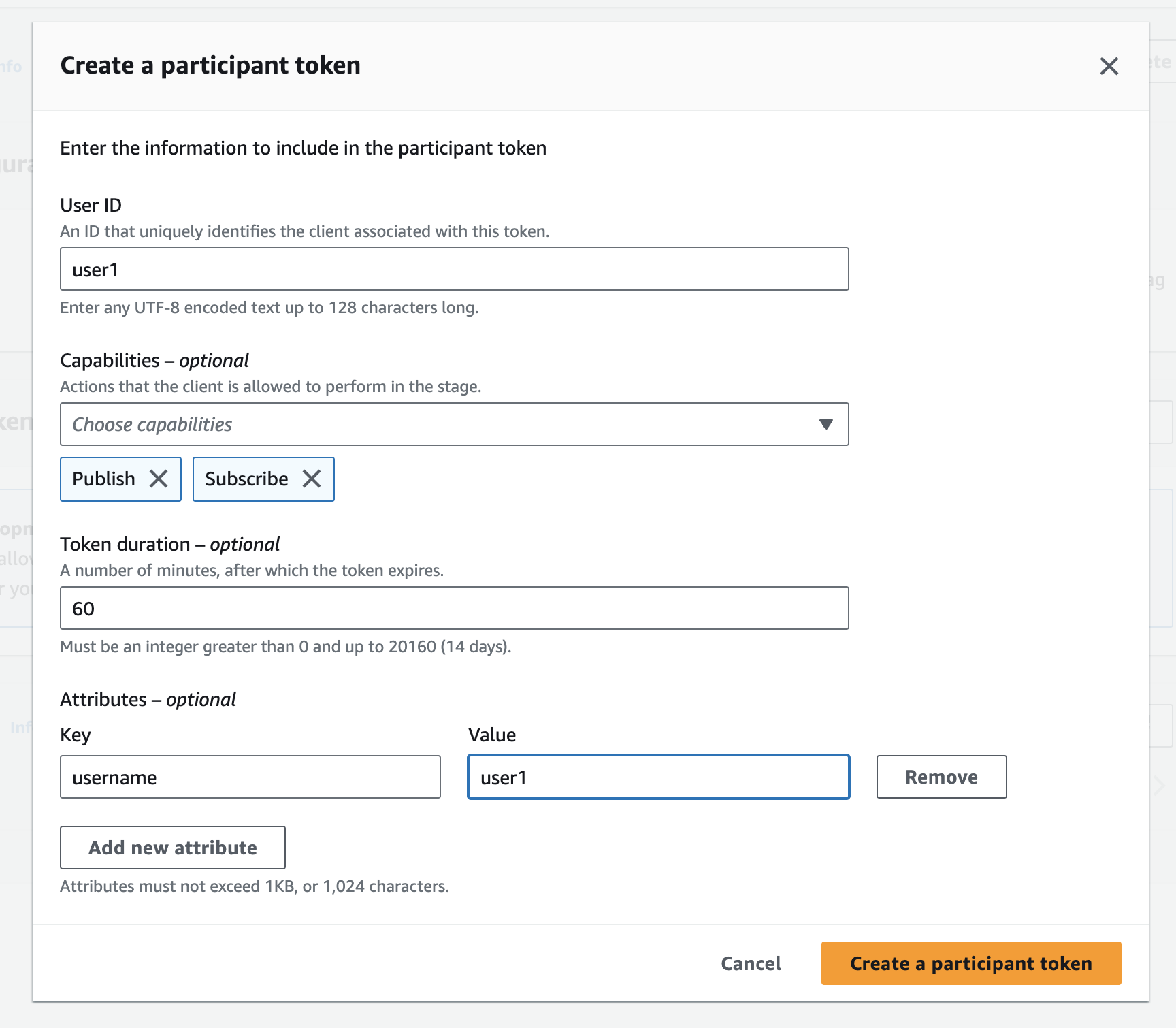 AWS console create participant token modal