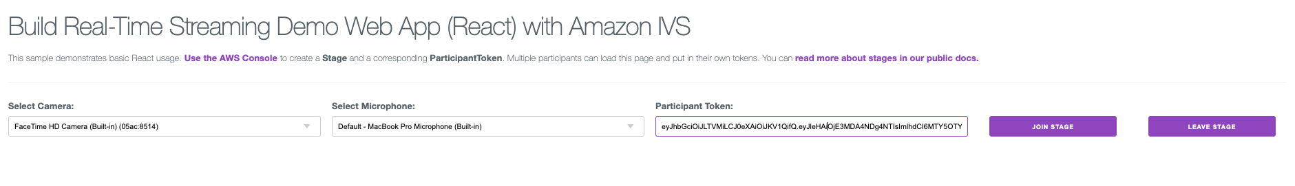 Paste participant token inside web application