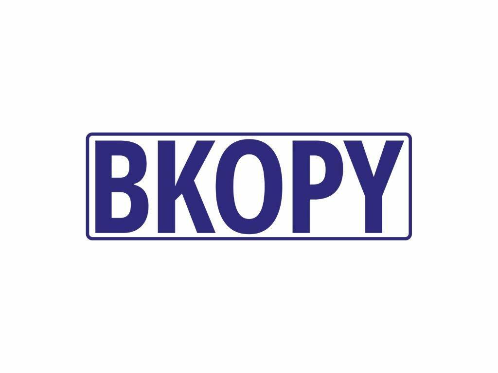 BKopy Bekerja Sama Dengan Neal Stephenson Untuk Penjualan Sotheby's Metaverse