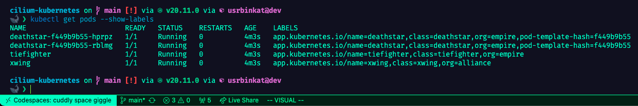 kubectl get po --show-labels