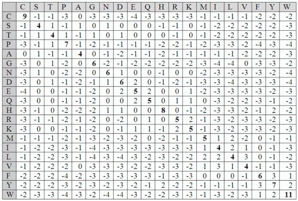 Blosum Matrix