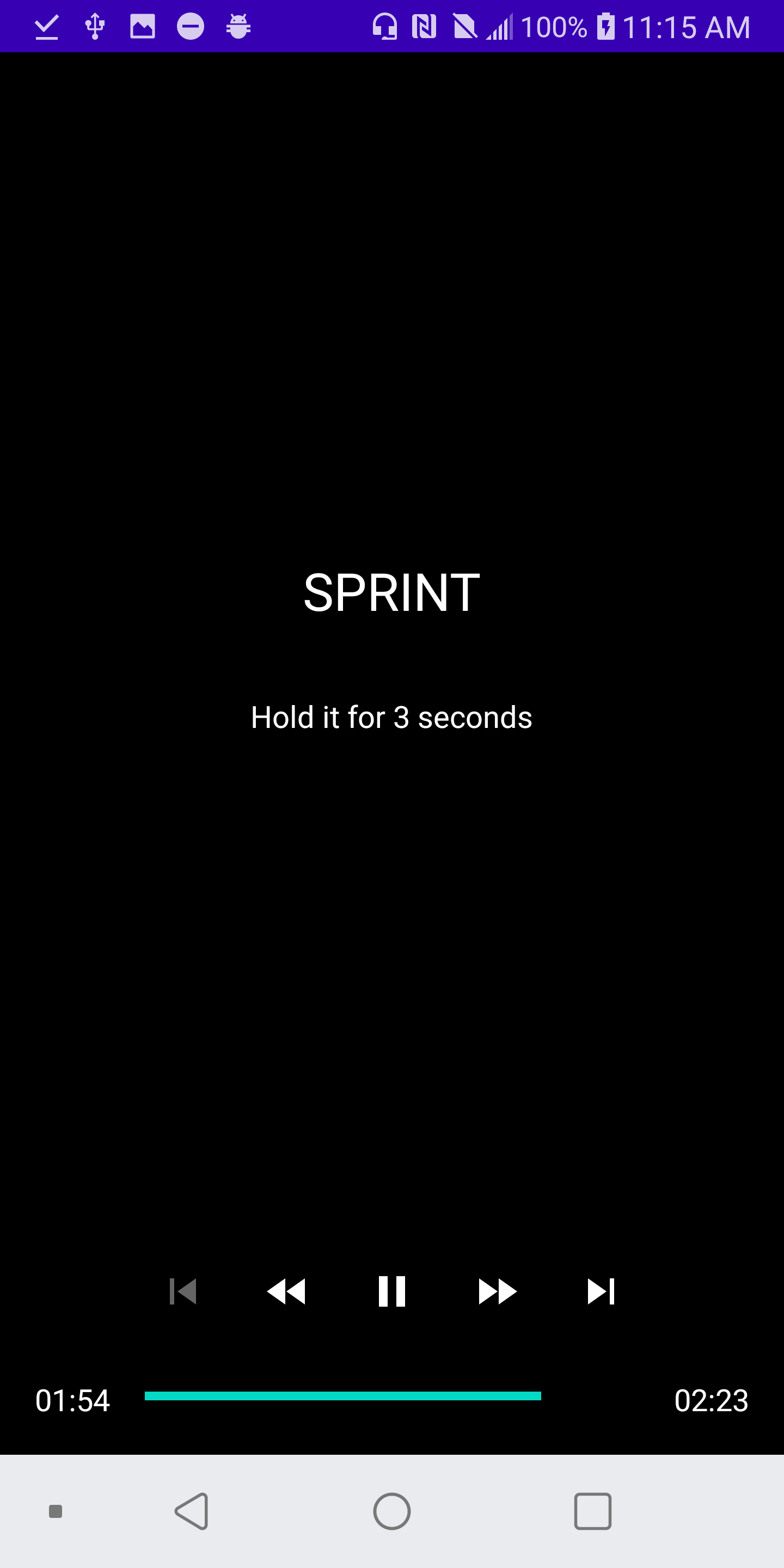 Screenshot showing sprint