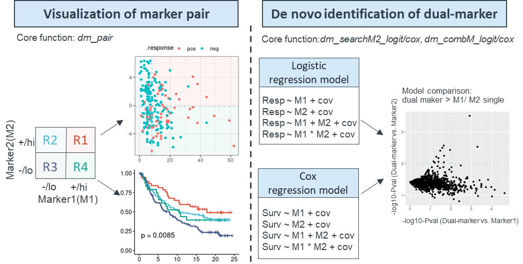 dualmarker_overview