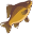 Crucian