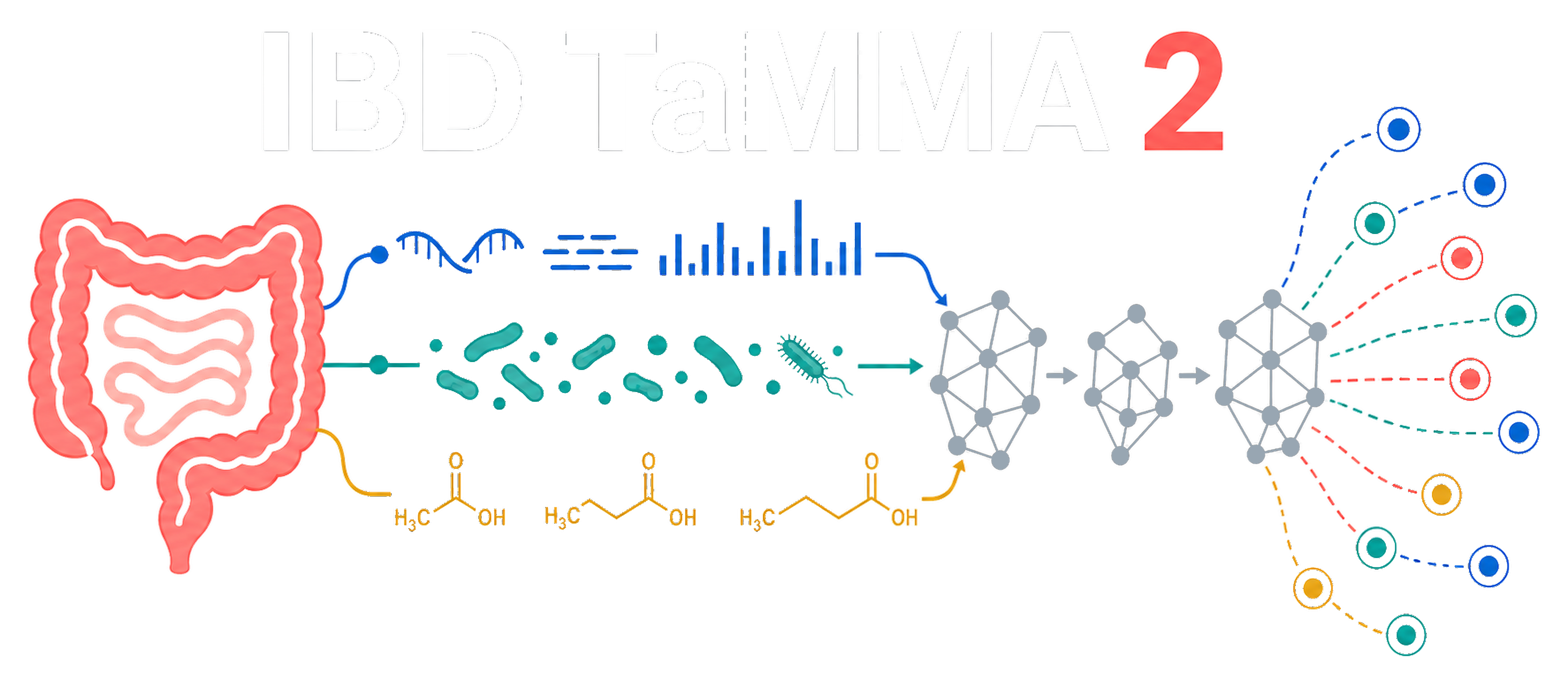 IBD TaMMA 2