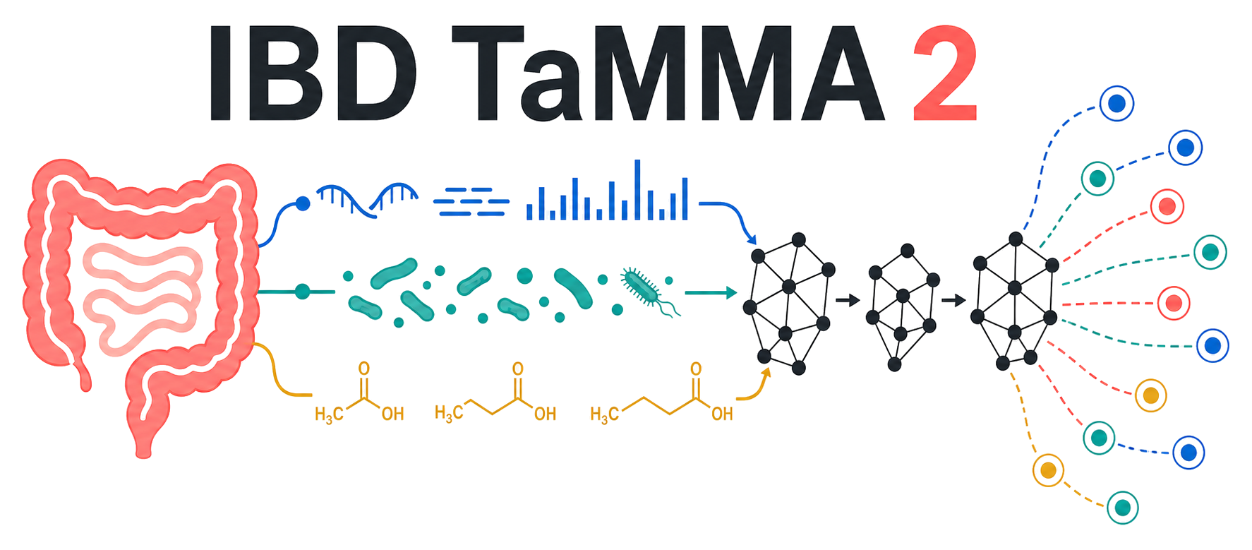 IBD TaMMA 2