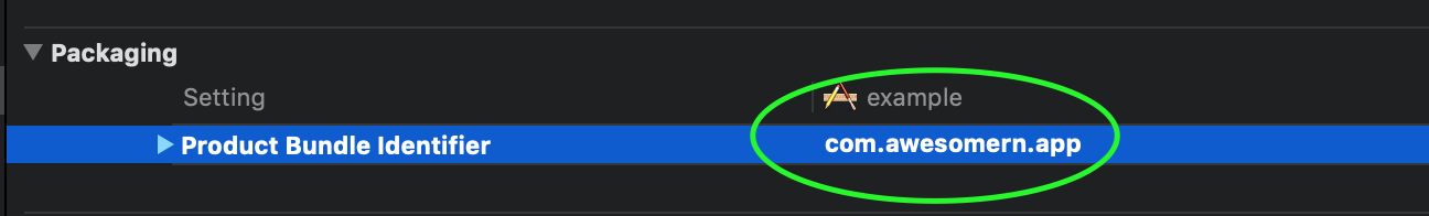 app name screenshot ios