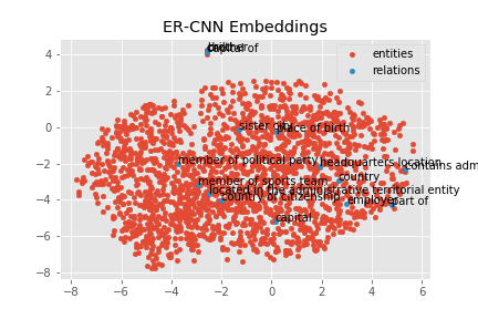 ER-CNN Embeddings