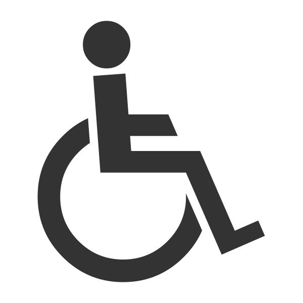 Disabled person in a wheelchair