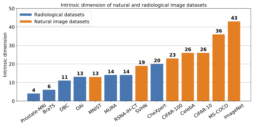 Intrinsic dimension of various radiological and natural image datasets.
