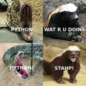 docs/python_stahp_300.jpg