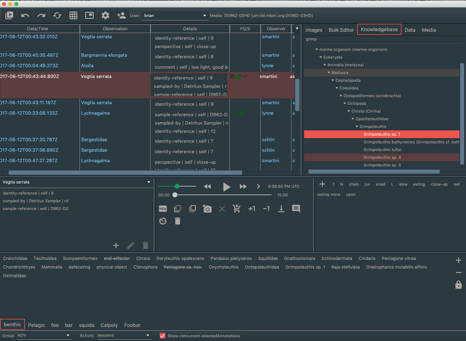 VARS Annotation