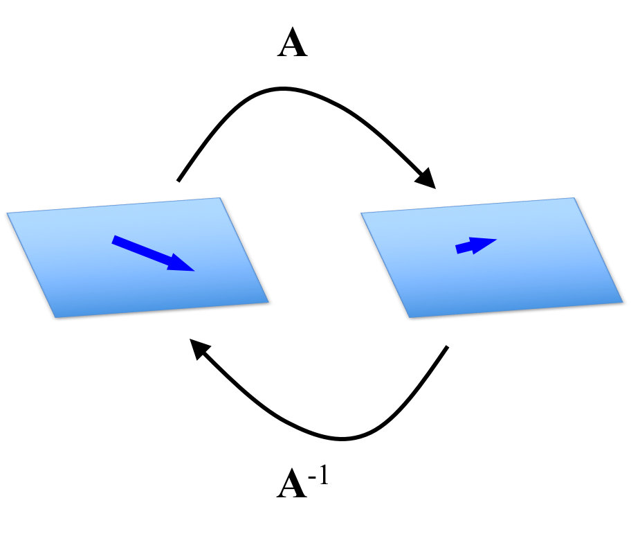 Invertible Matrices Matthew N Bernstein