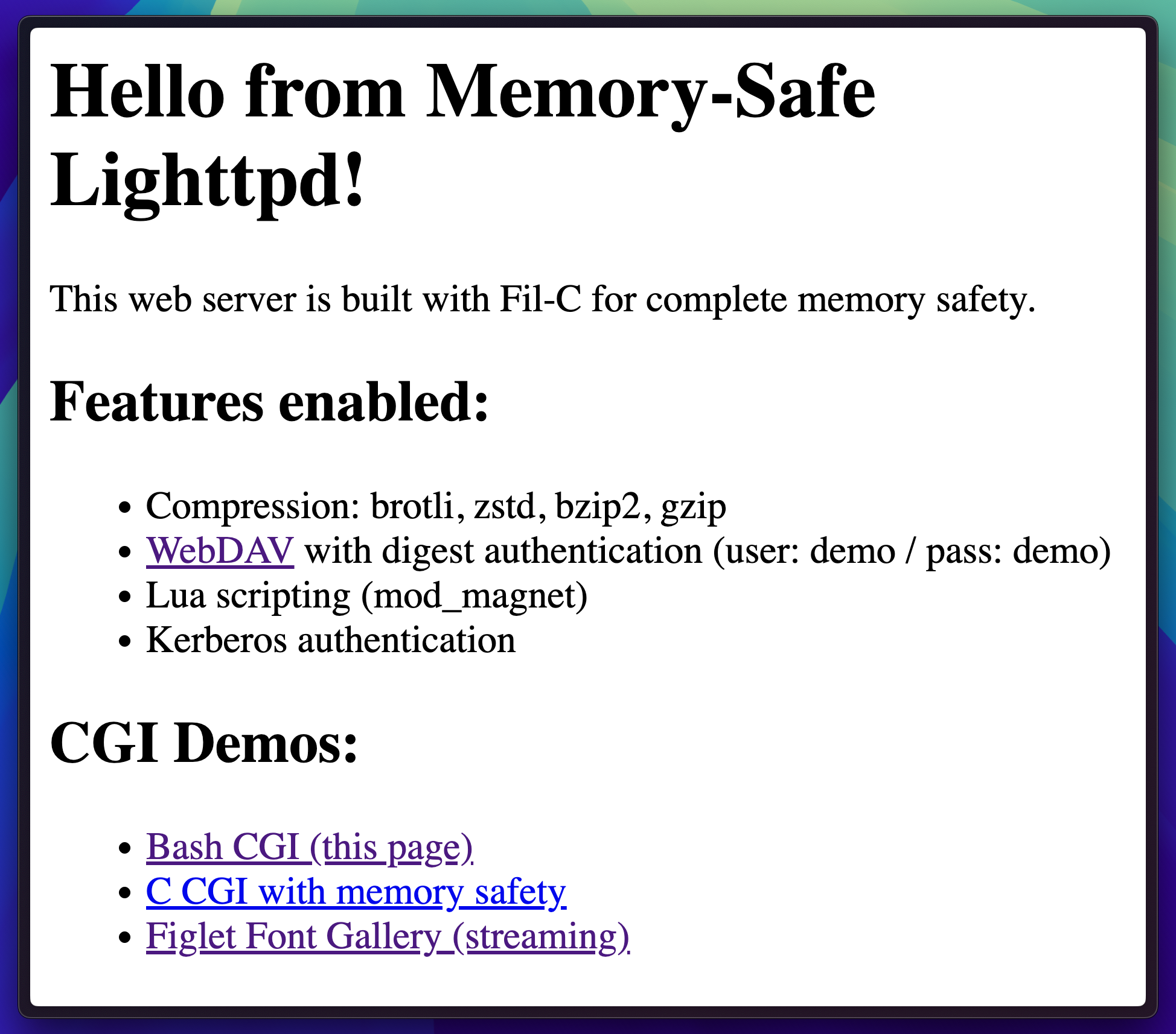 Lighttpd demo homepage