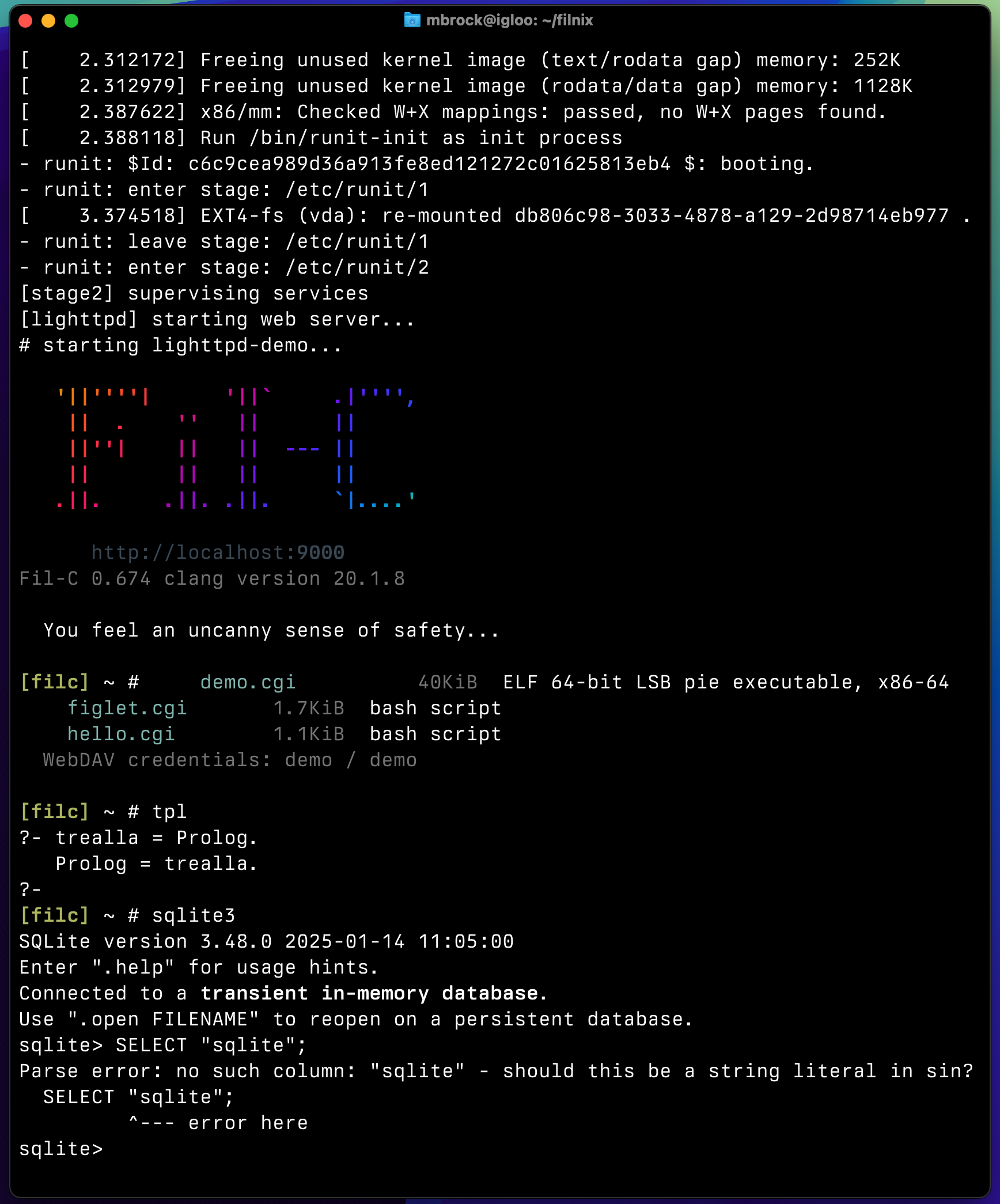 QEMU boot