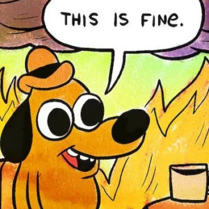 this is fine meme