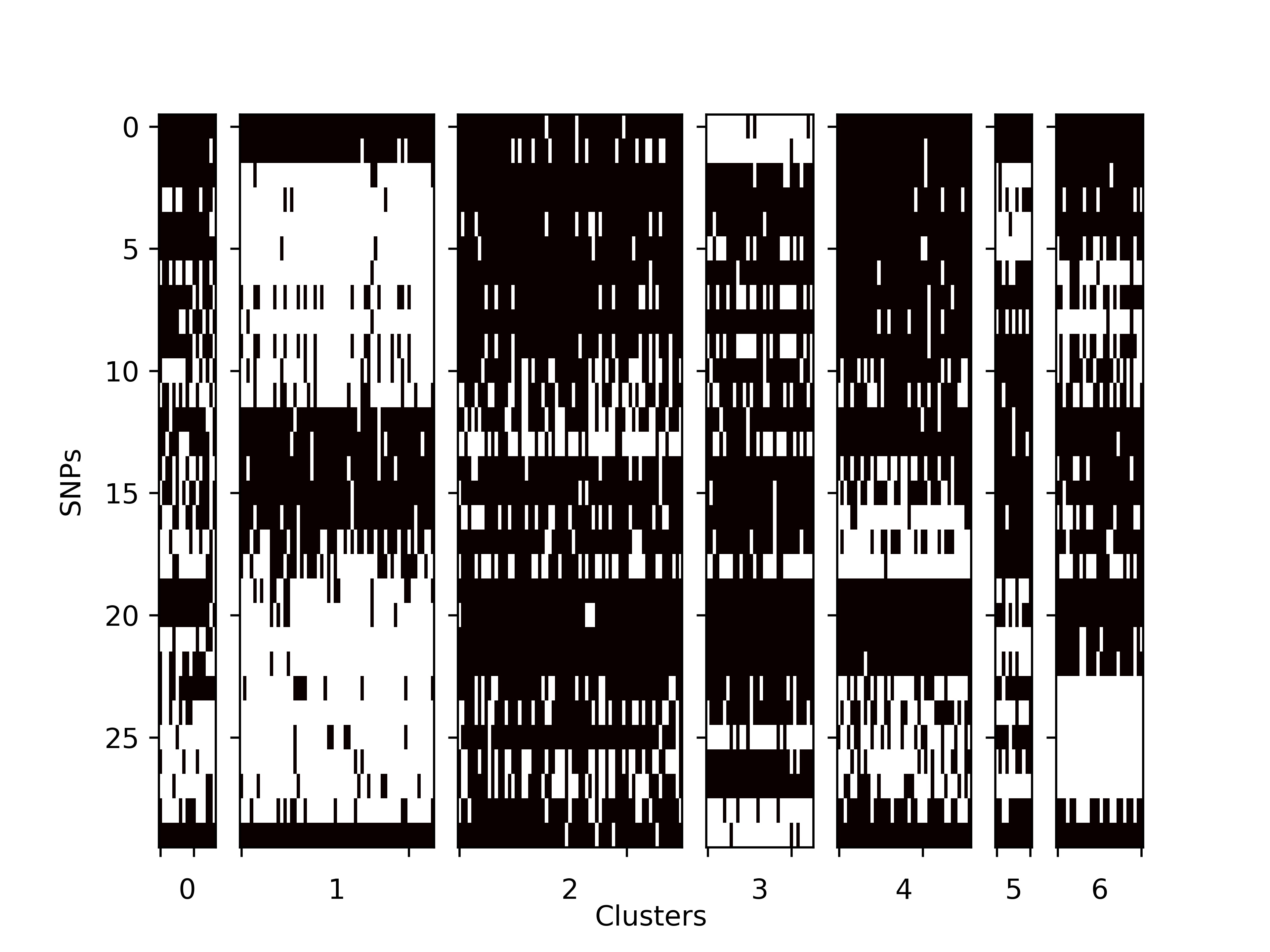 snp_matrix