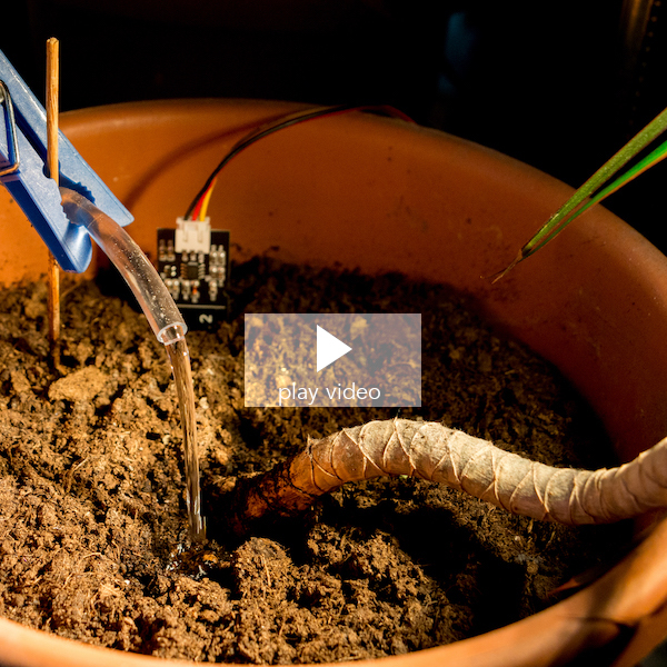 watering system