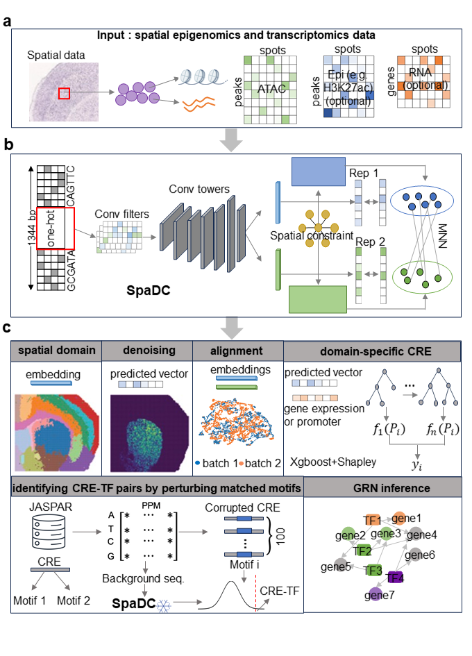 SpaDC_Overview
