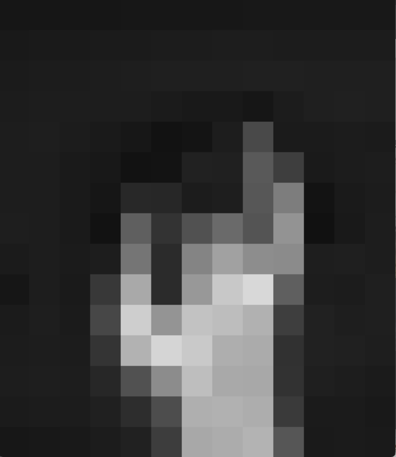 Very pixelated black and white photo