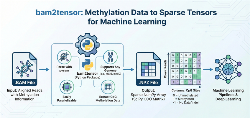 bam2tensor overview figure