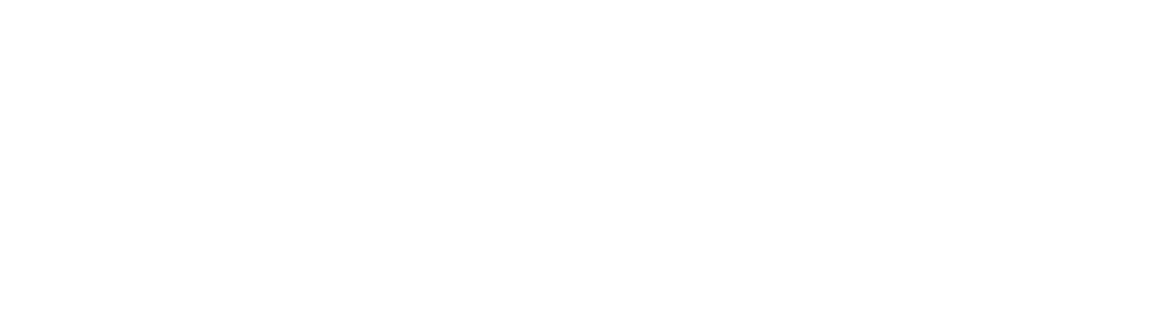 Skydio Logo