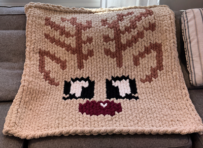 Raindeer blanket