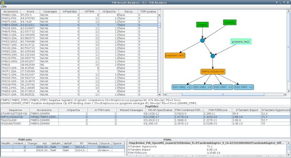 The PIA Analysis Viewer