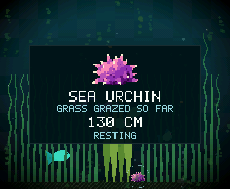 The urchin's card