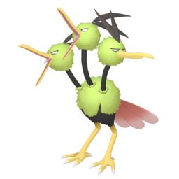 Dodrio