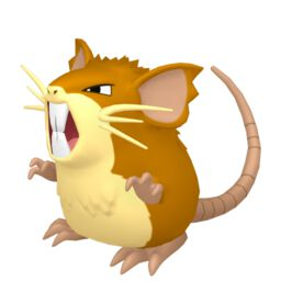 Raticate