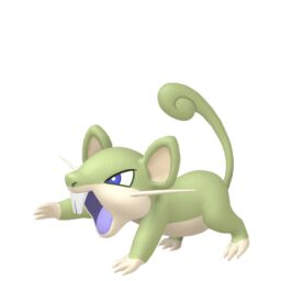 Rattata