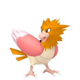 Spearow