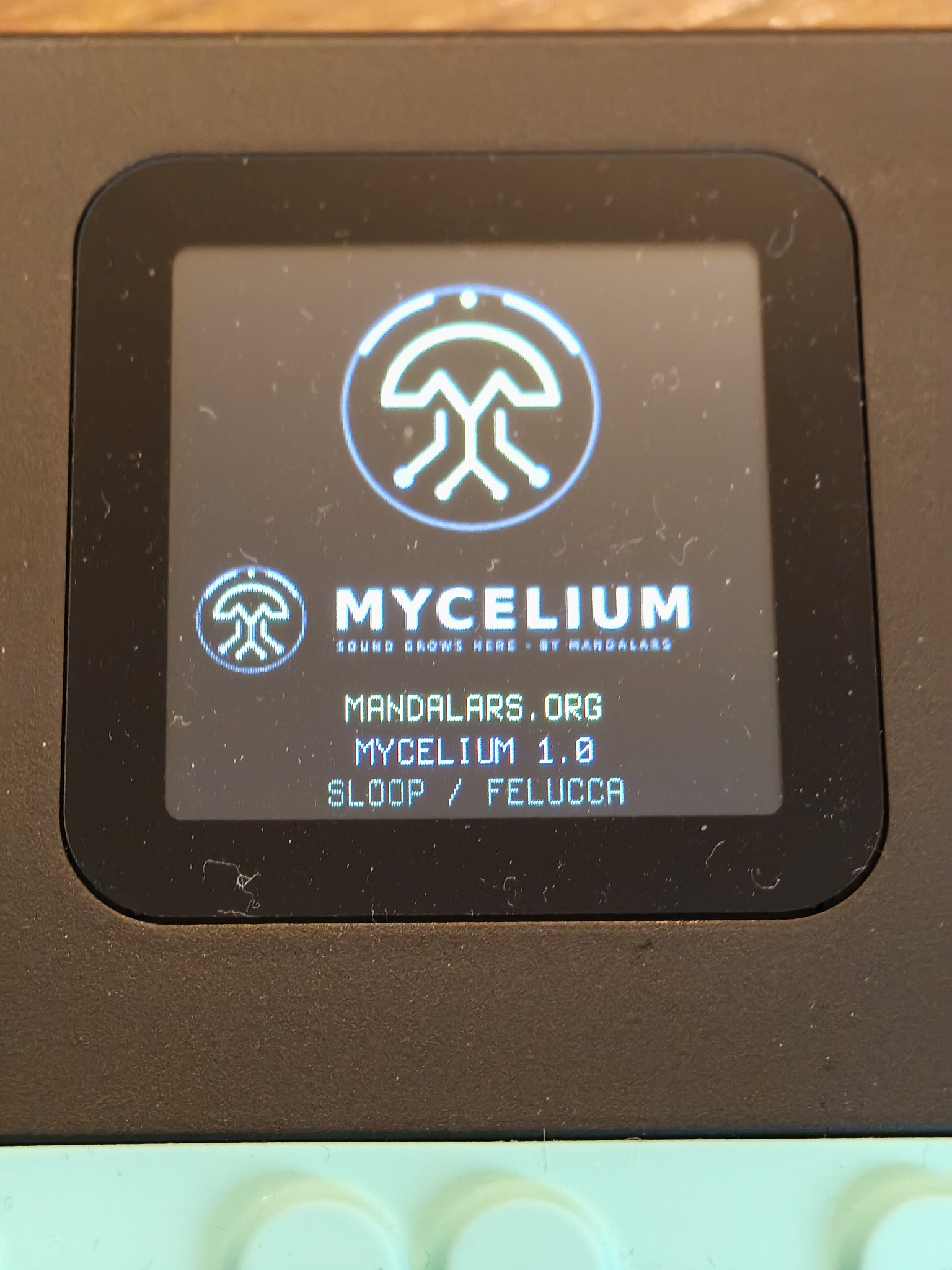 Photo of an FM-1 screen showing the Mycelium logo, mandalars.org, Mycelium 1.0 and SLOOP / Felucca