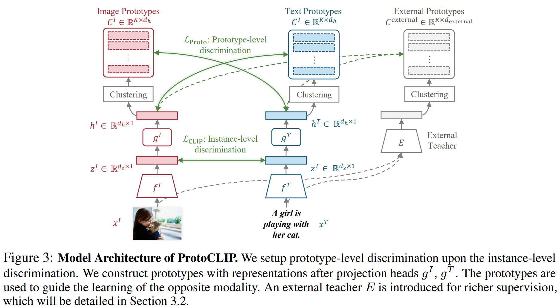 protoclip_model_structure