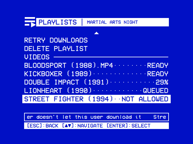 The page of the offline playlist Martial Arts Night: Retry Downloads, Delete Playlist, then its videos, Ready, 29%, Queued or Not Allowed