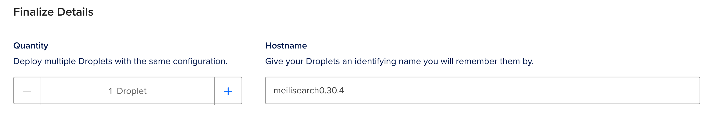 Adding 'meilisearch-droplet-name' as the hostname