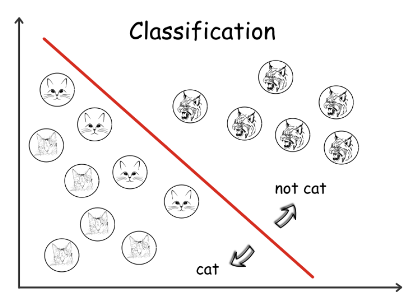 classification