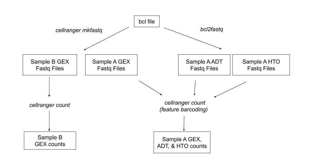 A diagram of the cellranger pipeline