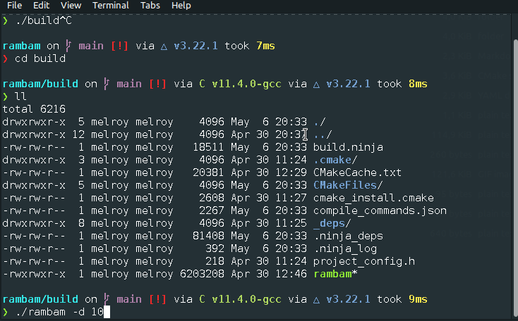 Demo of RamBam testing localhost