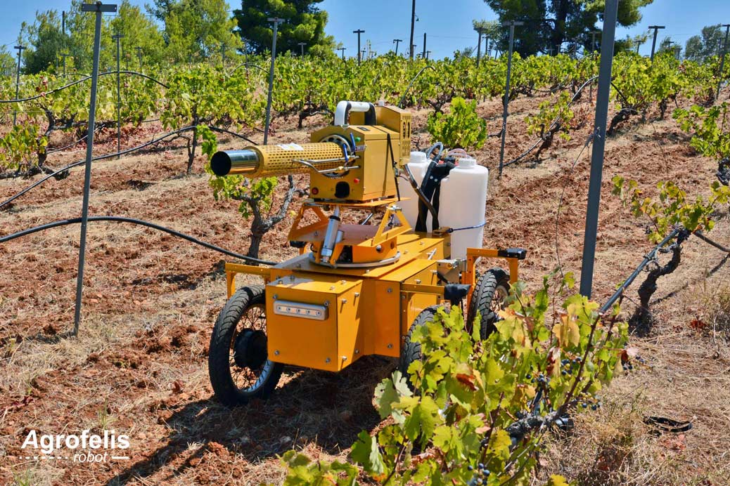 Agrofelis Robot in the vineyard downhill with a pulse jet fogger