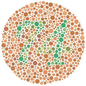The Vision Lab - Ishihara Color Vision Test